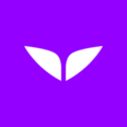 Mindvalley