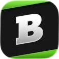 Brainly
